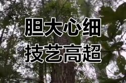 开云体育-嘉许球员精湛技艺，比赛中创造战斗神话