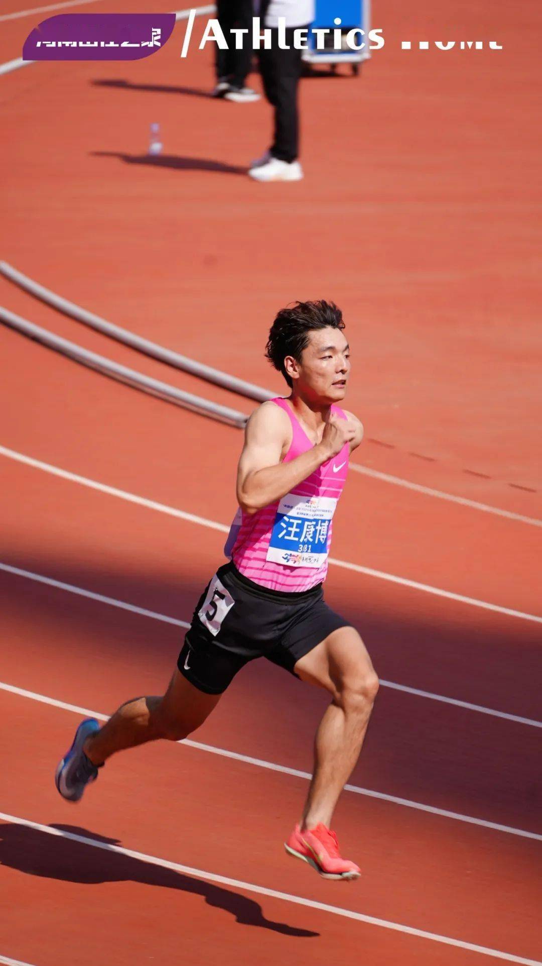 运动员勇夺多项佳绩,实力彰显出众