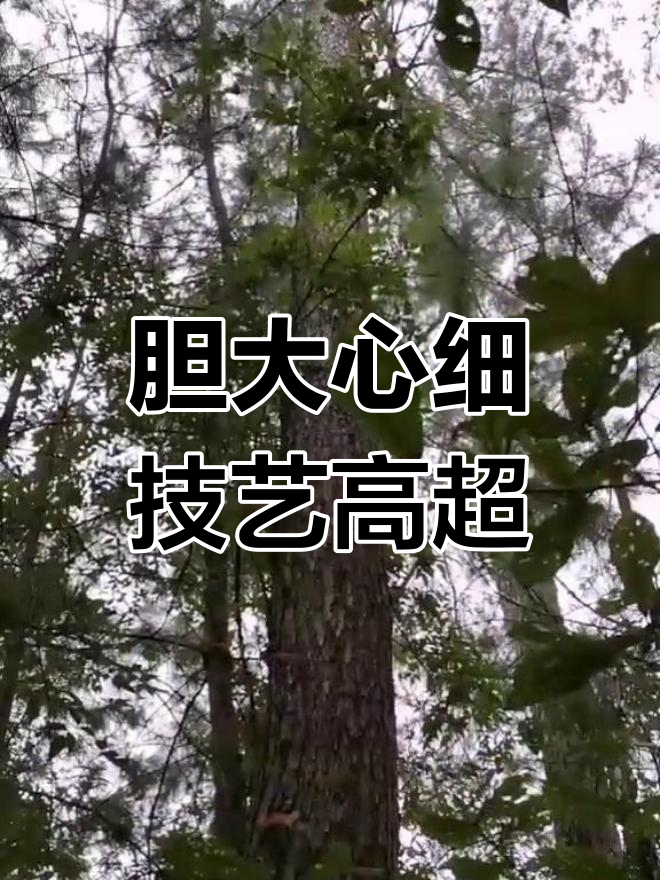 嘉许球员精湛技艺，比赛中创造战斗神话